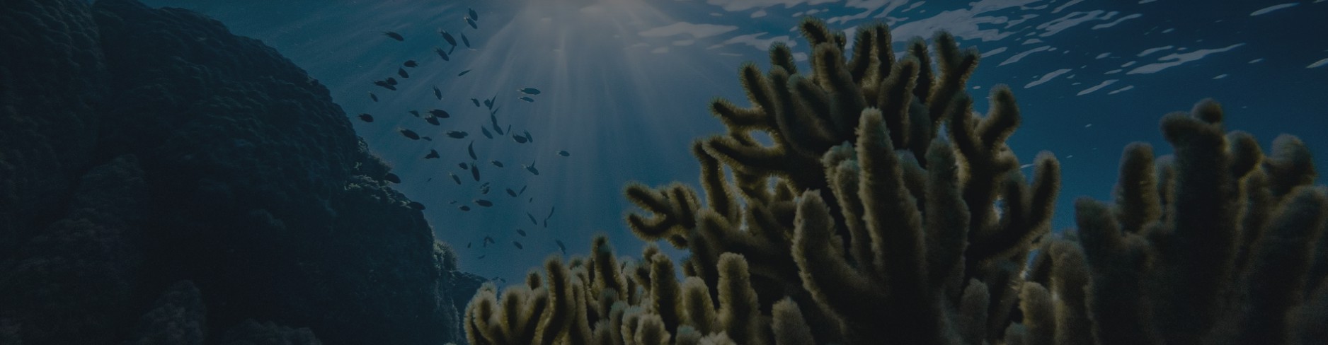 NexMast - Professional Boom Truck & Loader Crane Supplier